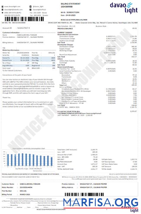 Printable USA DAVAO LIGHT utility bill Word and PDF template